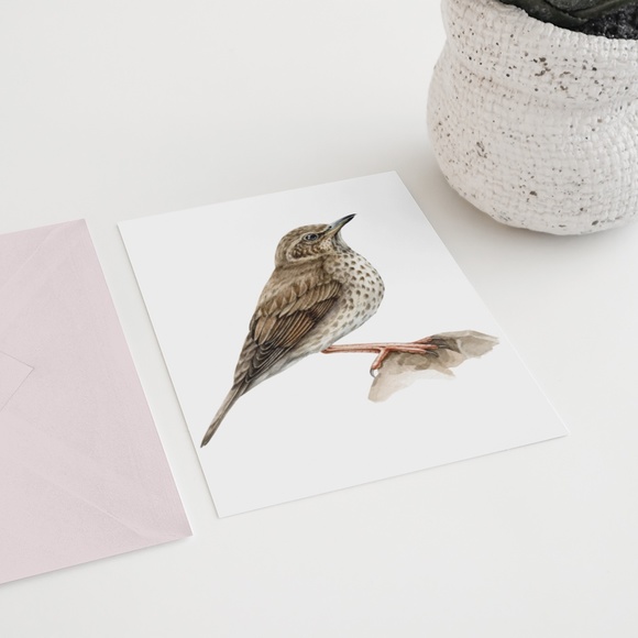 Song Thrush Bird Wall Art Watercolor Illustration Print Poster Card Unframed - Picture 7 of 7